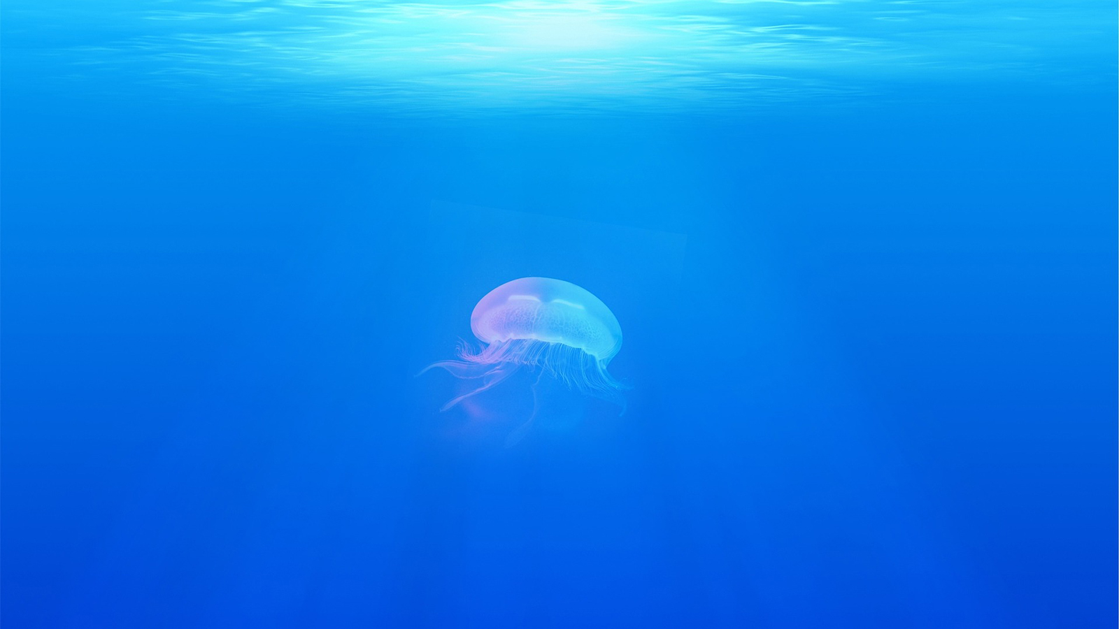 ‪الباحثون عثروا على العديد من الأشياء الغريبة والغامضة في أعماق البحار‬ (بيكسابي)