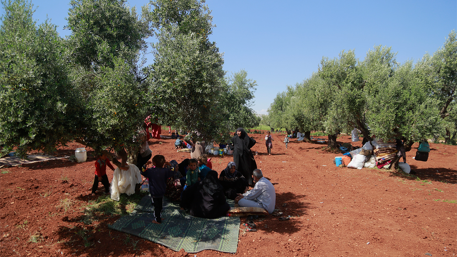 آلاف العائلات النازحة في إدلب تستظل بأشجار الزيتون في رمضان الحار نهارا (الجزيرة)