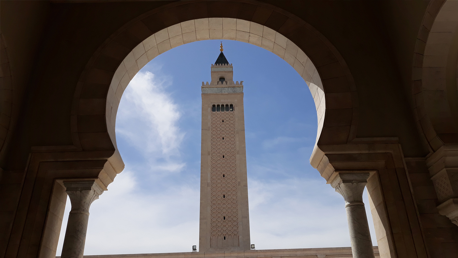 جامع مالك بن أنس بضاحية قرطاج بتونس (الجزيرة)
