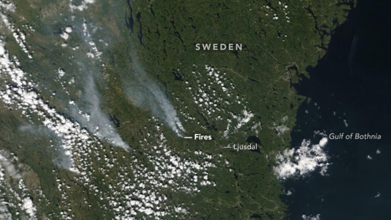 ‪تسببت الظروف الجافة والحارقة في اندلاع حرائق غابات تاريخية في جميع أنحاء السويد صيف 2018‬ (ناسا)