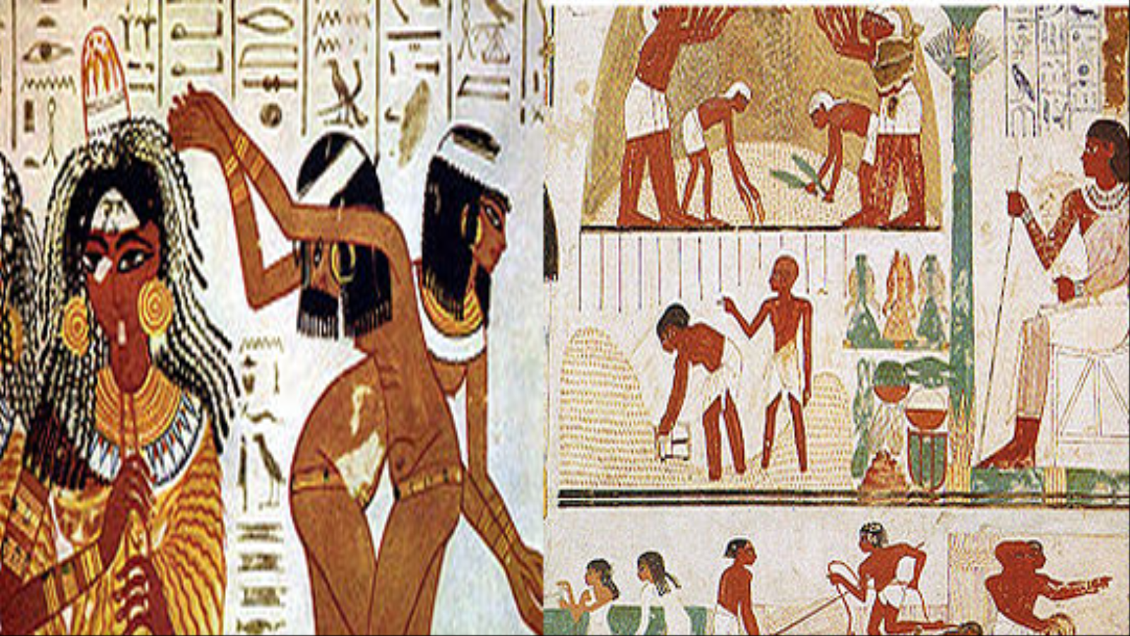 رسوم للحياة اليومية في مصر القديمة(مواقع التواصل)