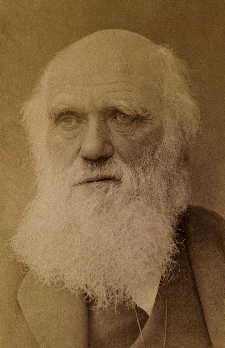 تشارلز داروين (مواقع التواصل)