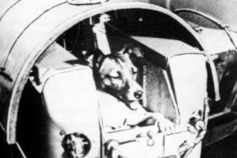 Said سعيد - في عام 1958، كانت لايكا أول كلبة تتجاوز أطراف الفضاء وتدور حول مدار الأرض – ناسا – متاح الاستخدام - لماذا أرسل السوفييت الكلاب إلى الفضاء بينما استخدم الأمريكيون القرود؟