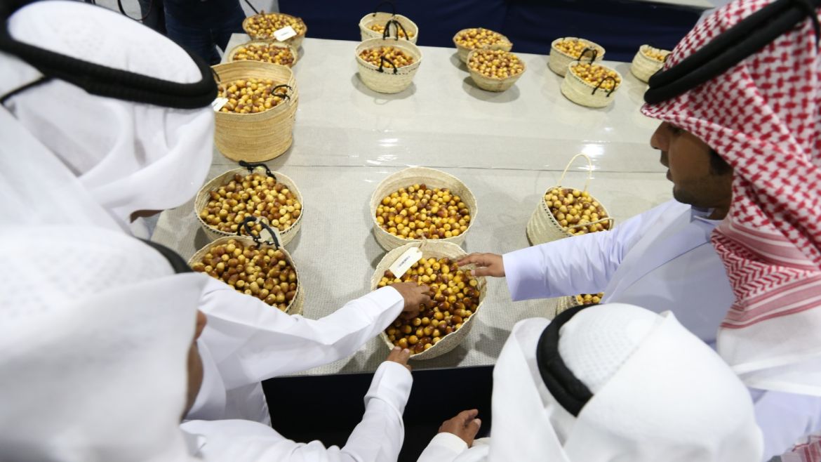 epa07722897 UAE competition judges inspect baskets of Dates at Al Dabbas competition during the 15th Liwa Dates Festival 2019 in Liwa, some 260kms southwest of Abu Dhabi, United Arab Emirates, 17 July 2019. The Liwa Dates Festival is an annual...