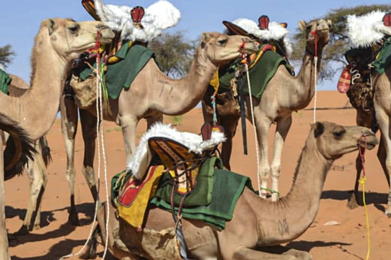 فرقة الجمالة في موريتانيا (Méhariste).