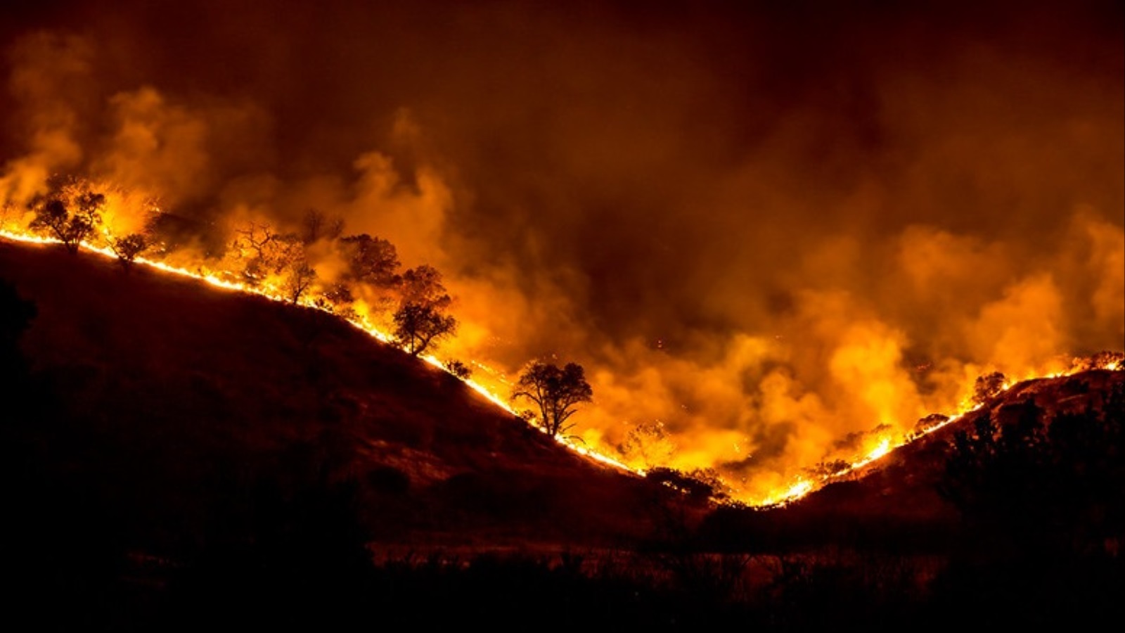 ‪ولاية كاليفورنيا الأميركية إحدى المناطق التي تشهد حرائق واسعة سنويا‬ (فليكرز)
