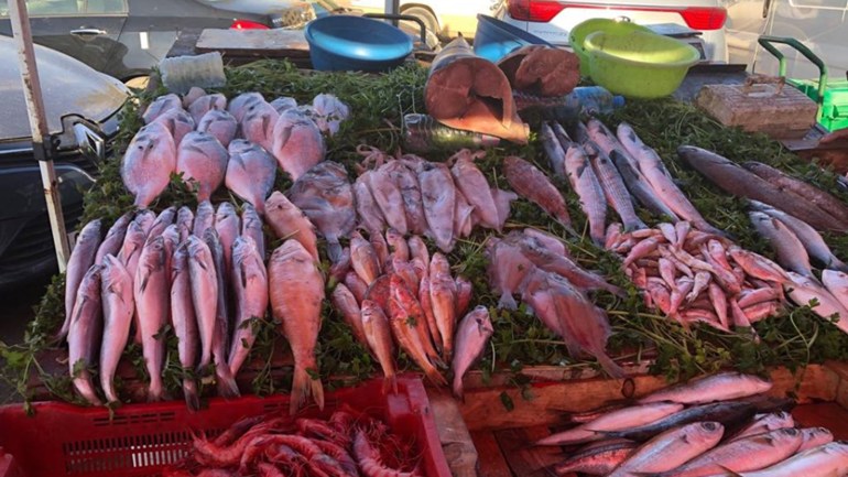 الأسماك في الجزائر.. أسعار ملتهبة وعائلات لا تتذوقها لشهور