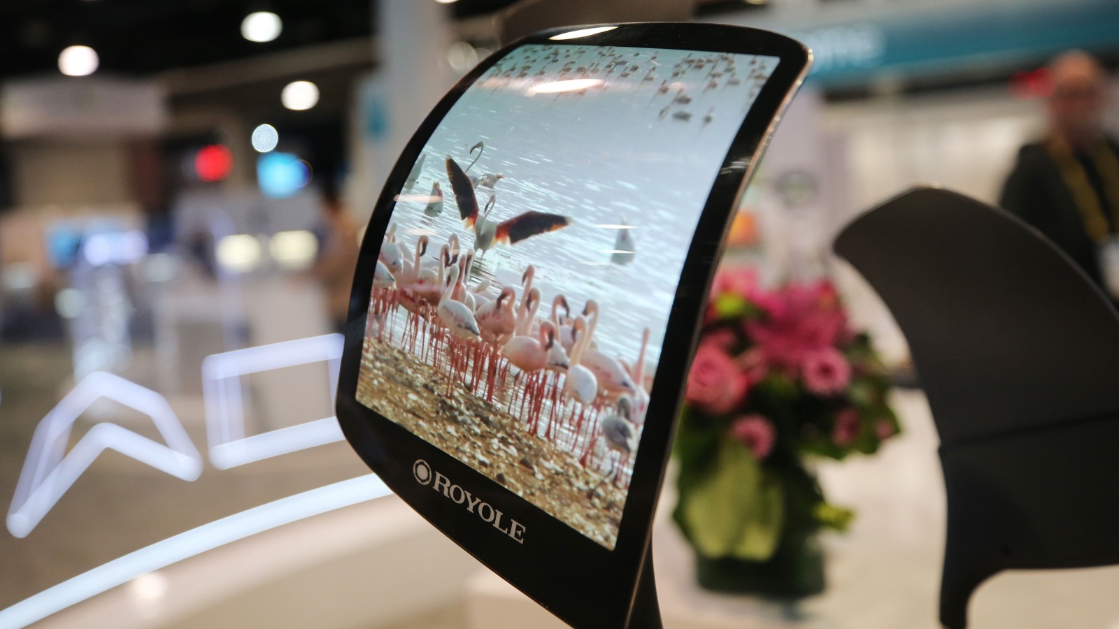 ‪جهاز فليكس باي لشركة رويال يستخدم شاشات عرض مرنة من الجيل الثاني للشركة‬ (الفرنسية)