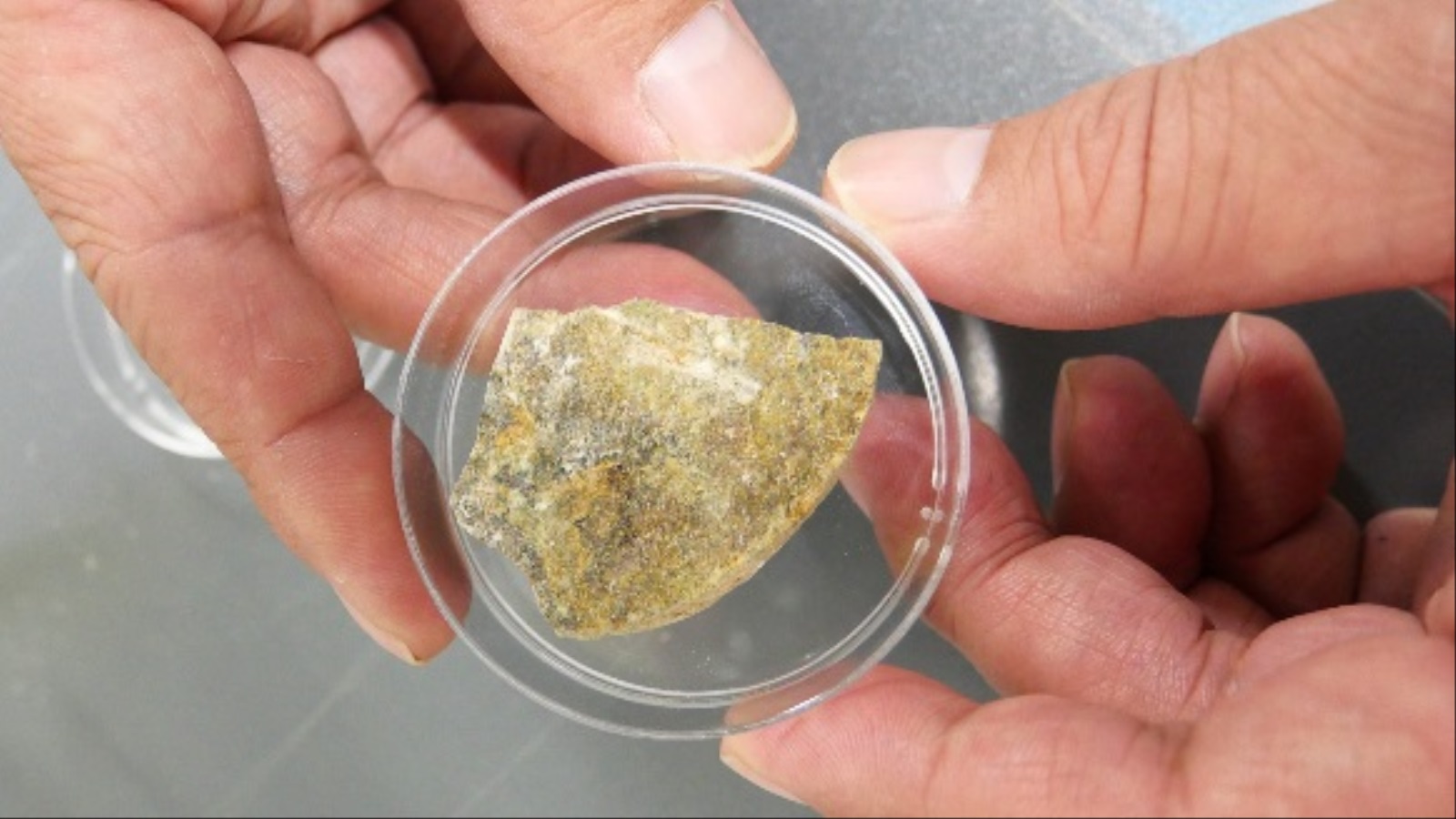 ‪شرائح من عينات الصخور الحاملة للبكتيريا (جامعة طوكيو)‬ شرائح من عينات الصخور الحاملة للبكتيريا (جامعة طوكيو)