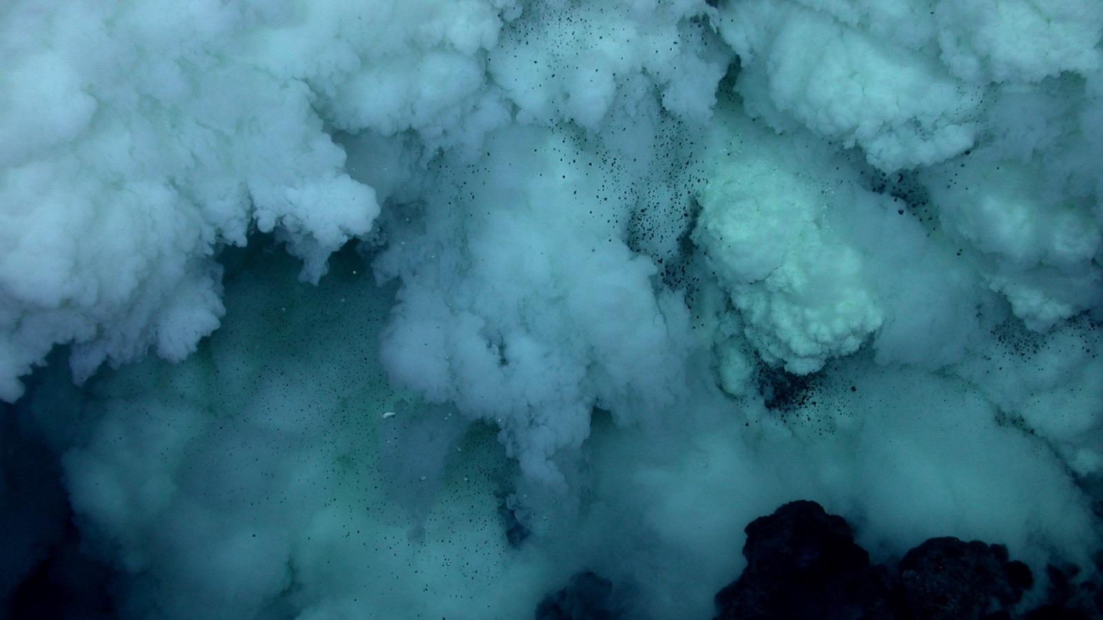 ‪تنشأ الفتحات الحرارية في قاع البحر ويتسرب منها ثاني أكسيد الكربون ومركبات سامة (فليكرز)‬ تنشأ الفتحات الحرارية في قاع البحر ويتسرب منها ثاني أكسيد الكربون ومركبات سامة (فليكرز)
