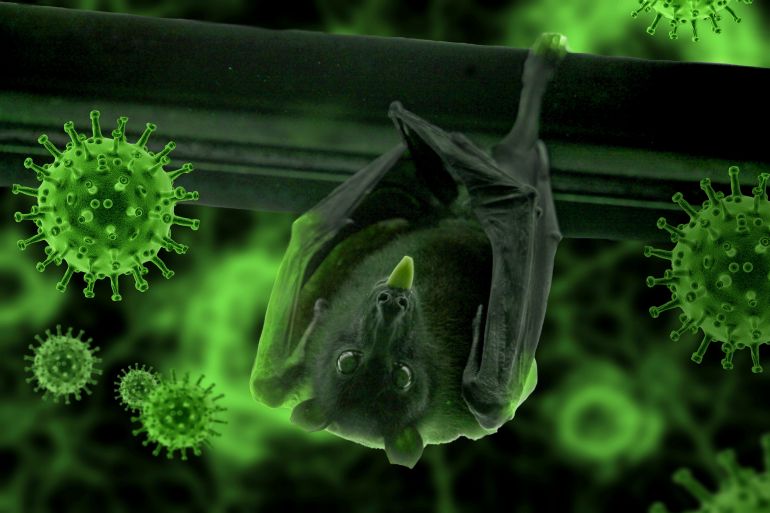 المصدر بيكسابي، خفاش خفافيش فيروس كورونا المستجد سارس كوف 2 كوفيد-19
