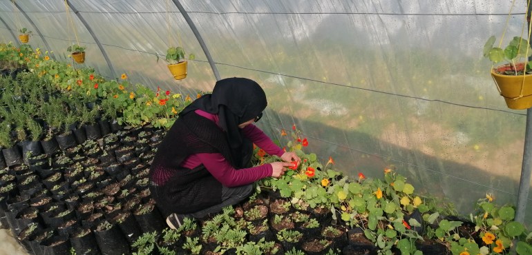 سنية شابة تونسية تزرع ورودا قابلة للأكل وتشغل أكثر من عشرين امرأة ريفية