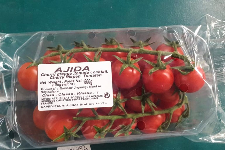 صورة داخلية فقط - - - - تقرير - نجمة رمضان بامتياز ... تعرف على إنتاج واستهلاك الطماطم بالمغرب؟