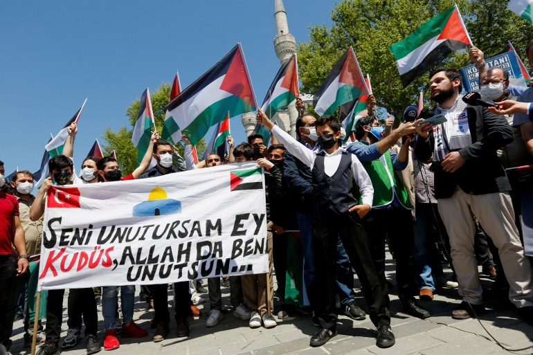 Pro-Palestinian demosntration in Istanbul