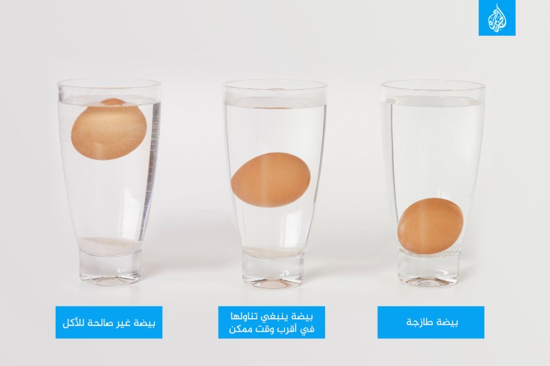 البيضة طازجة أم فاسدة، بيض، التحقق من البيض