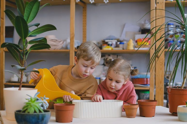 8زراعة الشتلات والنباتات تجعل الطفل أكثرمهارة في التخطيط والتنظيم والتحفيز على الأبداع والقوة الإدراكية- (بيكسلز).
