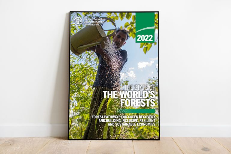 The State of the World’s Forests 2022