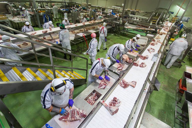 تنمية قطاع اللحوم الحمراء ستعزز الأمن الغذائي السعودي وتوفير منتجات محلية بجودة عالية وأسعار مناسبة (الصحافة الاسترالية)