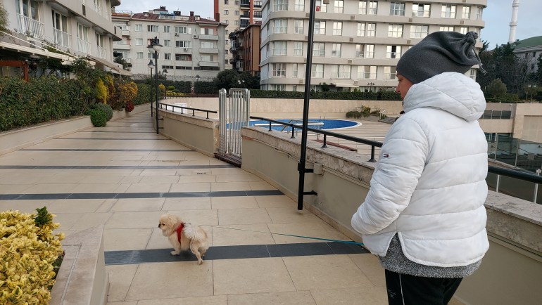 آيسن أوكان تقوم بنزهة مع كلبها أوسكار رقائق تعقب إلكترونية لحماية الحيوانات الأليفة في تركيا المصدر: الجزيرة