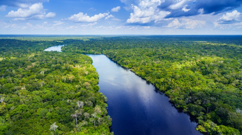 من المتوقع تقلص مناطق الغابات الرطبة بالأمريكتين نظرا لتخزين غاباتها كميات ضخمة من الكربون. (Shutterstock)