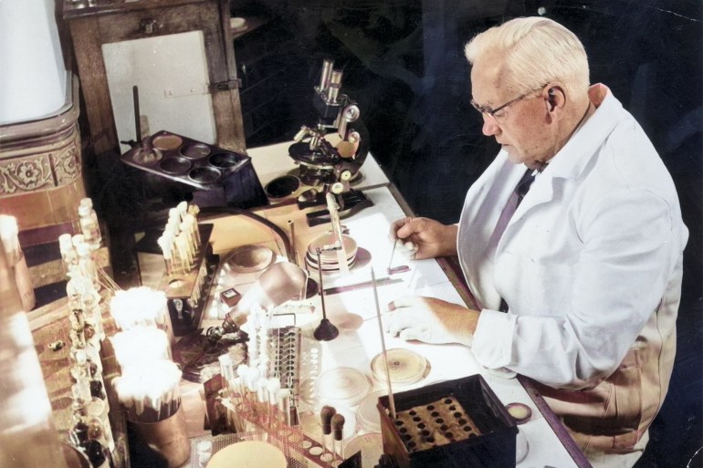 1954: Sir Alexander Fleming (1881-1955), noted bacteriologist and joint winner of the 1945 Nobel Prize for Medicine, at work in his laboratory in the Wright-Fleming Institute. Fleming's most famous contribution to medicine was the accidental discovery of penicillin in 1928. (Photo by Chris Ware/Keystone Features/Getty Images)
