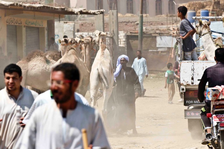 أزمة السودان تقطع رحلة الصيف عن سوق برقاش في مصر