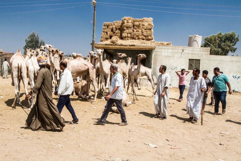 أزمة السودان تقطع رحلة الصيف عن سوق برقاش في مصر