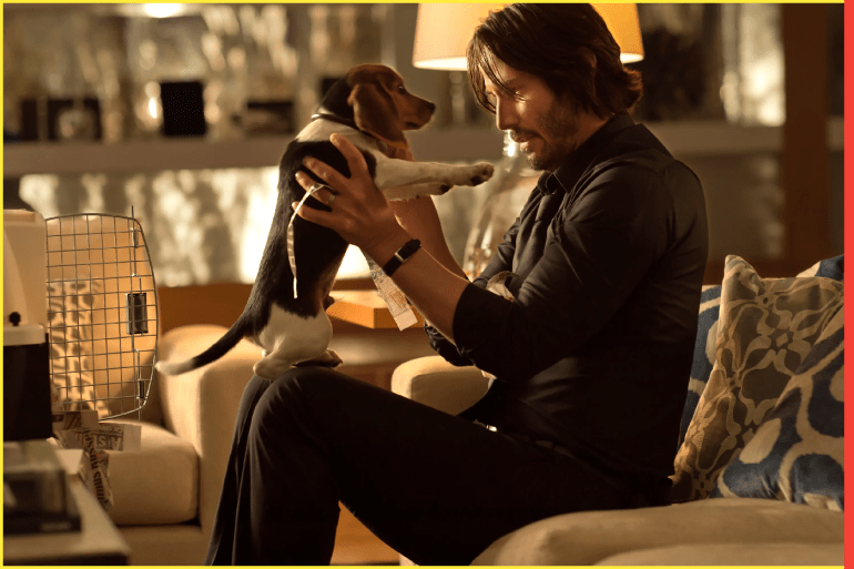 John Wick with his dog death