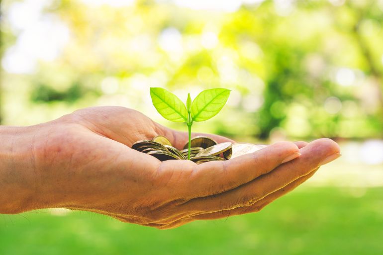 Growth finance concept plant growing on coin in business man hand for wealth saving money and investment success. - stock photo growth finance concept plant growing on coin in business man hand for wealth saving money and investment success. GettyImages-1253282428